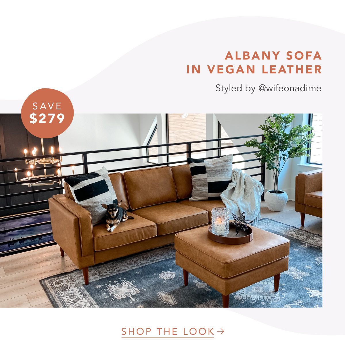 Our Top Picks of 2022 20 Off Albany Park