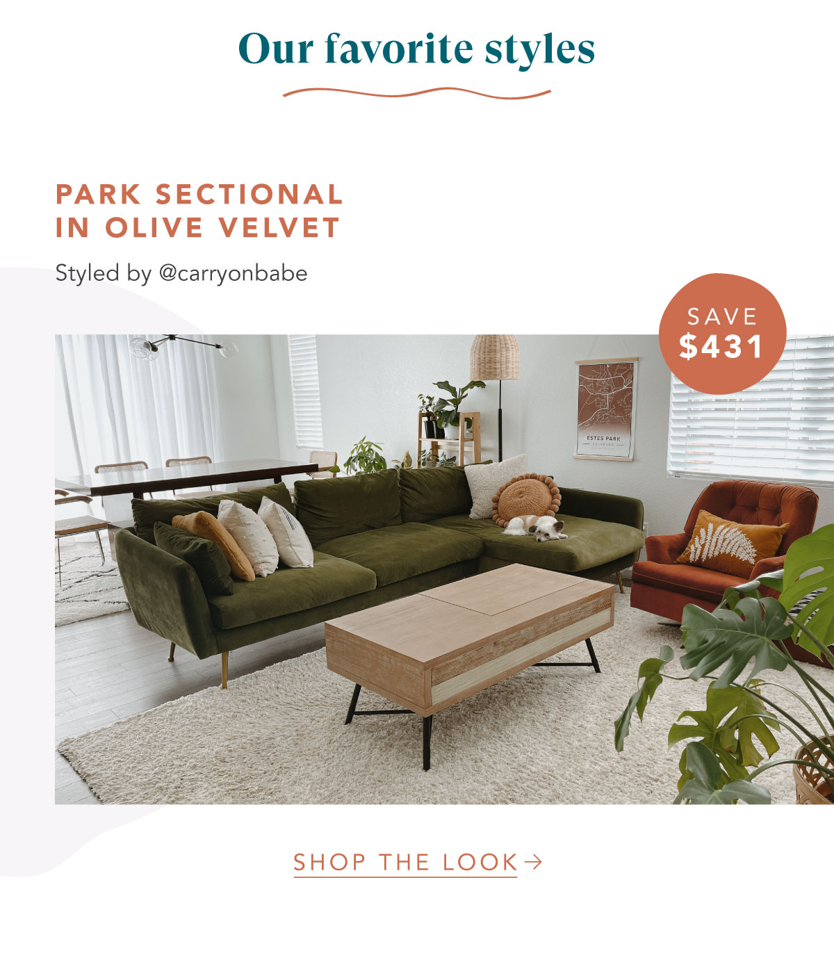 Our Top Picks of 2022 20 Off Albany Park