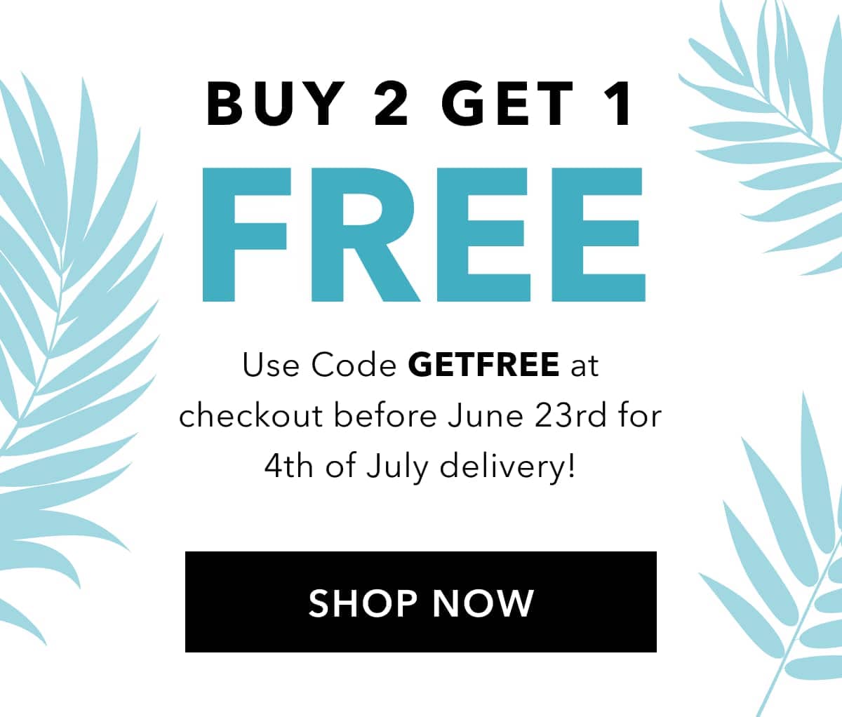 Buy 2 Get 1 FREE  Use Code GETFREE at checkout before June 23rd for 4th of July delivery!