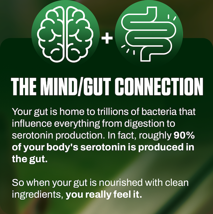MAY IS MENTAL HEALTH MONTH Here's what your gut has to do with it…
