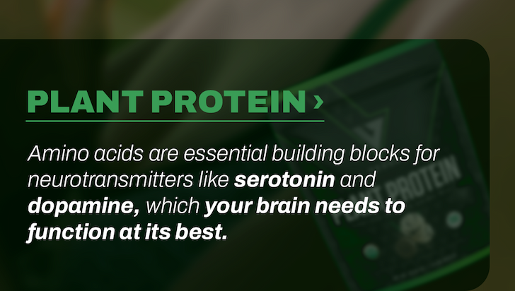 PLANT PROTEIN