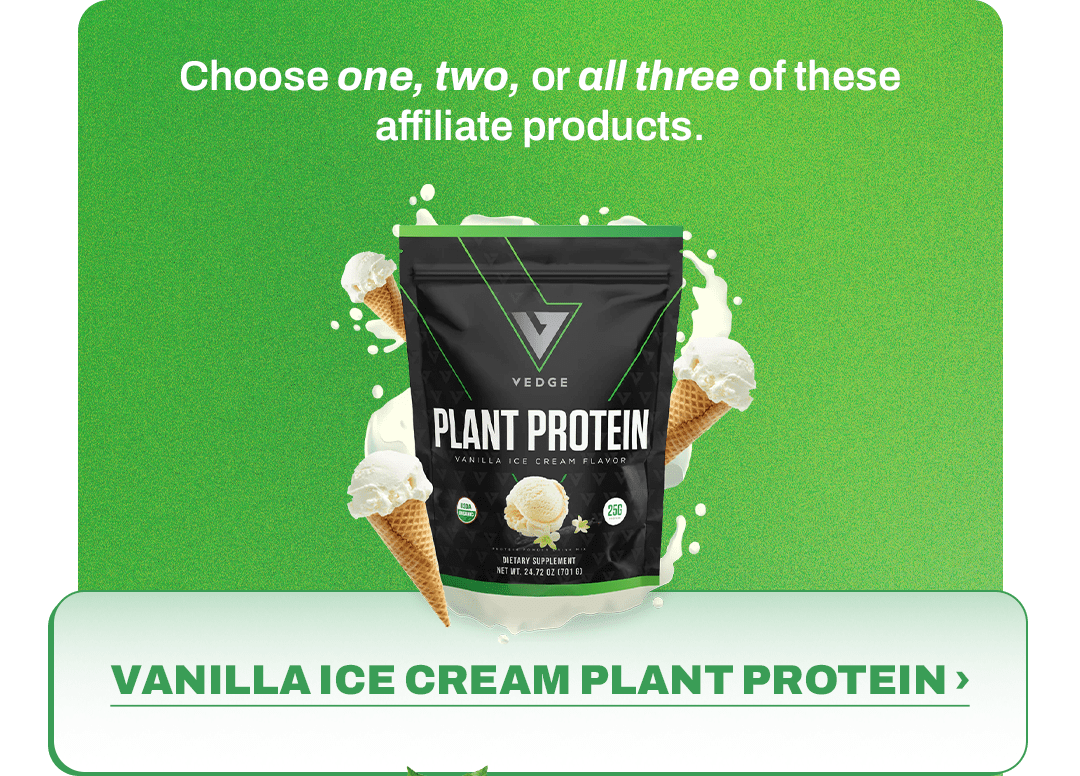 VANILLA ICE CREAM PLANT PROTEIN