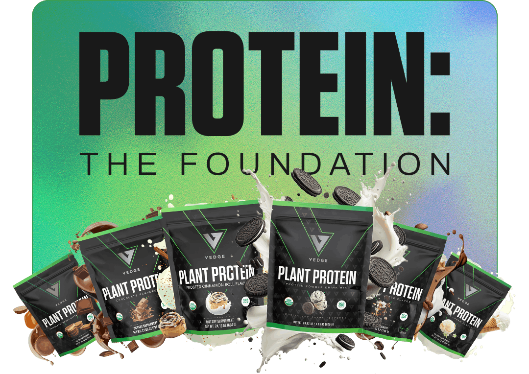 PROTEIN: THE FOUNDATION