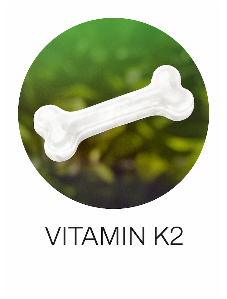 Essential Ingredients