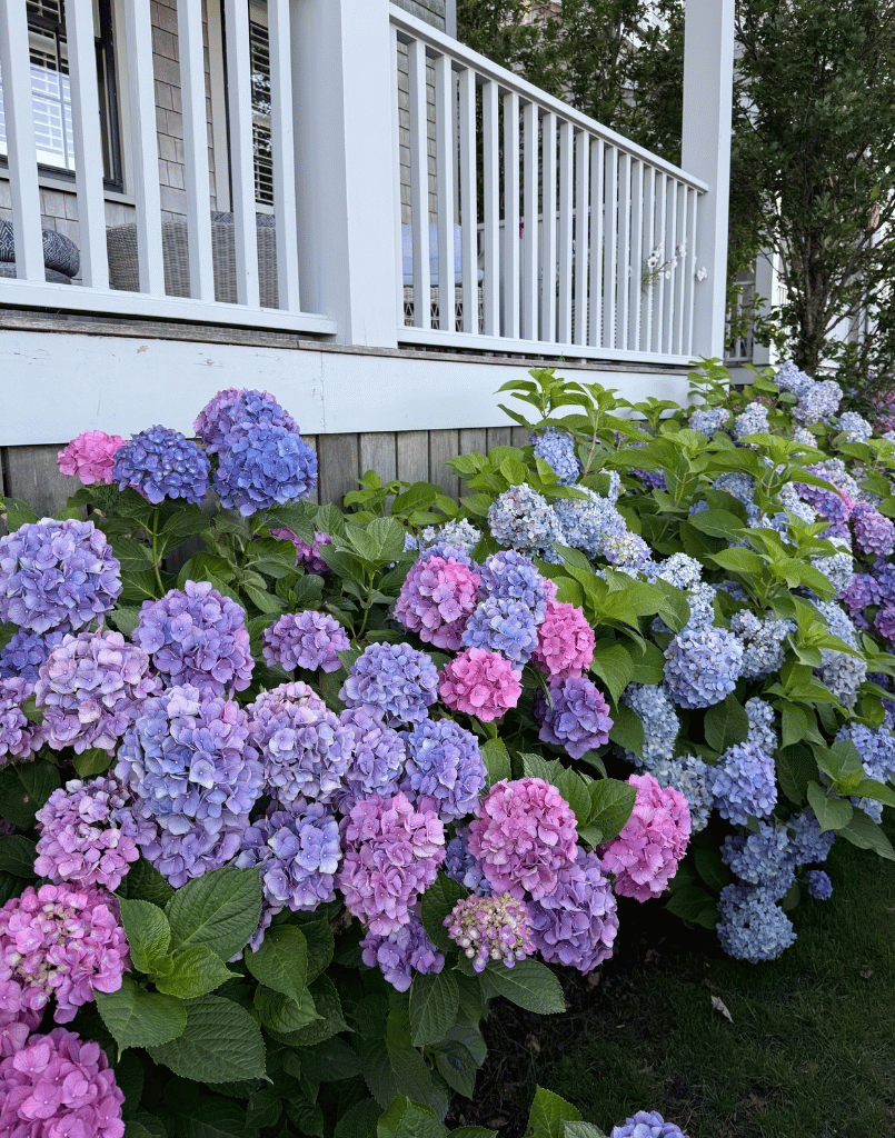 Nantucket