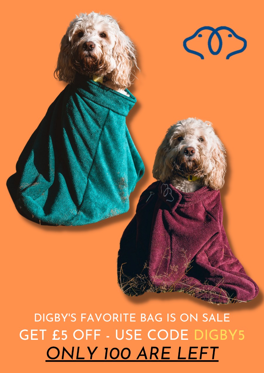 TODAY ONLY Save £5 on Luxury Drying Bag Paws & Presto