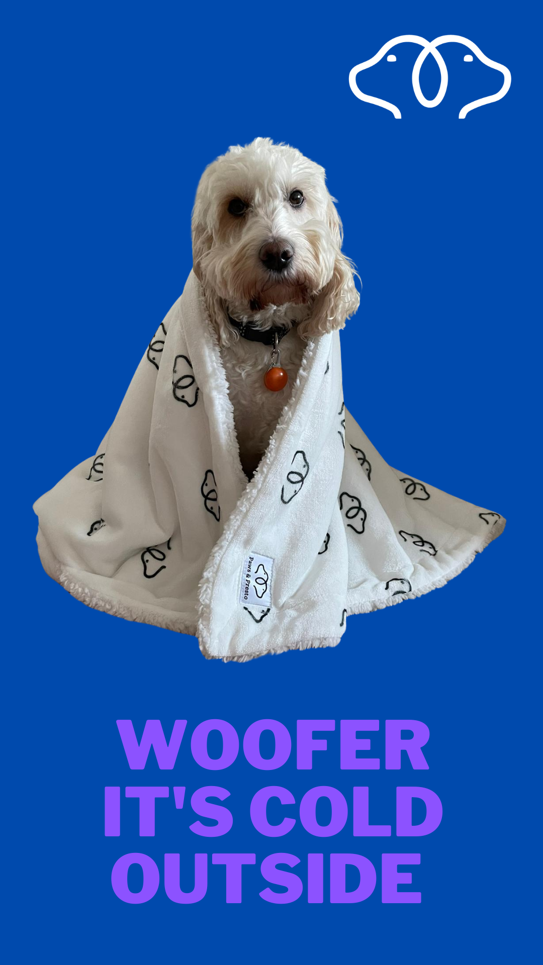 He absolutely loves it! Paws & Presto