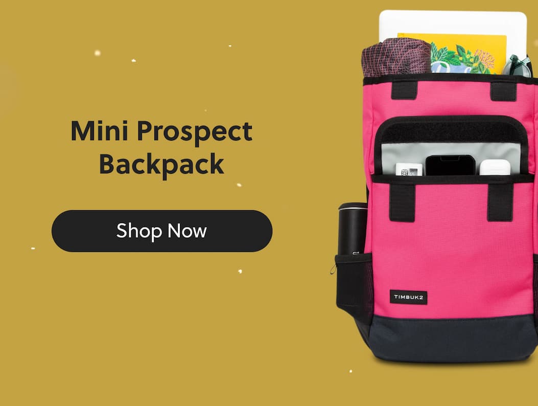 Mini Prospect Backpack