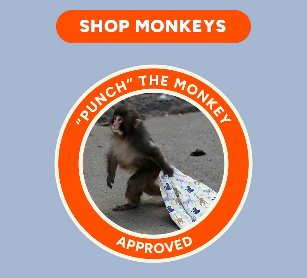 Shop Monkeys