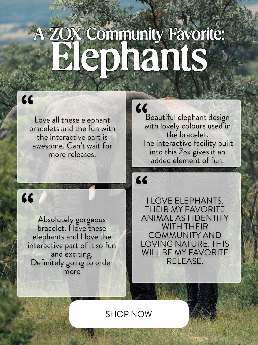 elephant bracelets