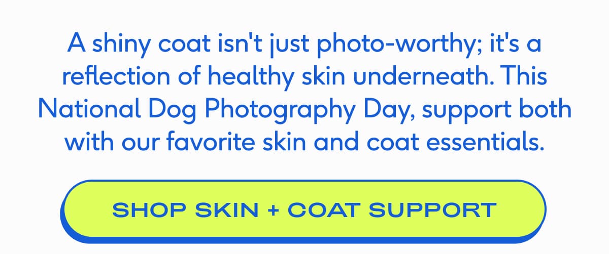 A shiny coat isn't just photo-worthy; it's a reflection of healthy skin underneath. This National Dog Photography Day, support both with our favorite skin and coat essentials. SHOP SKIN + COAT SUPPORT