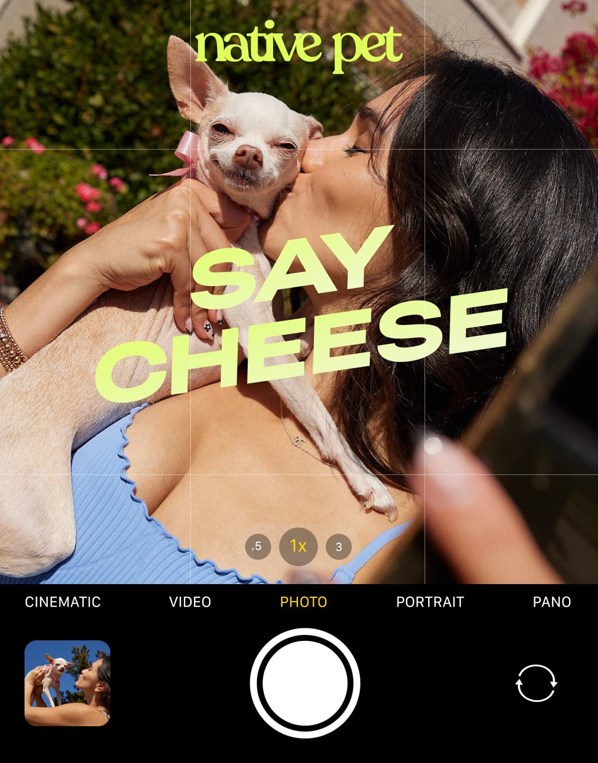 cheese say