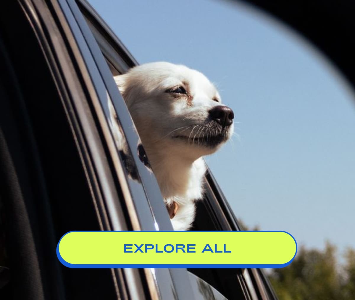 explore all