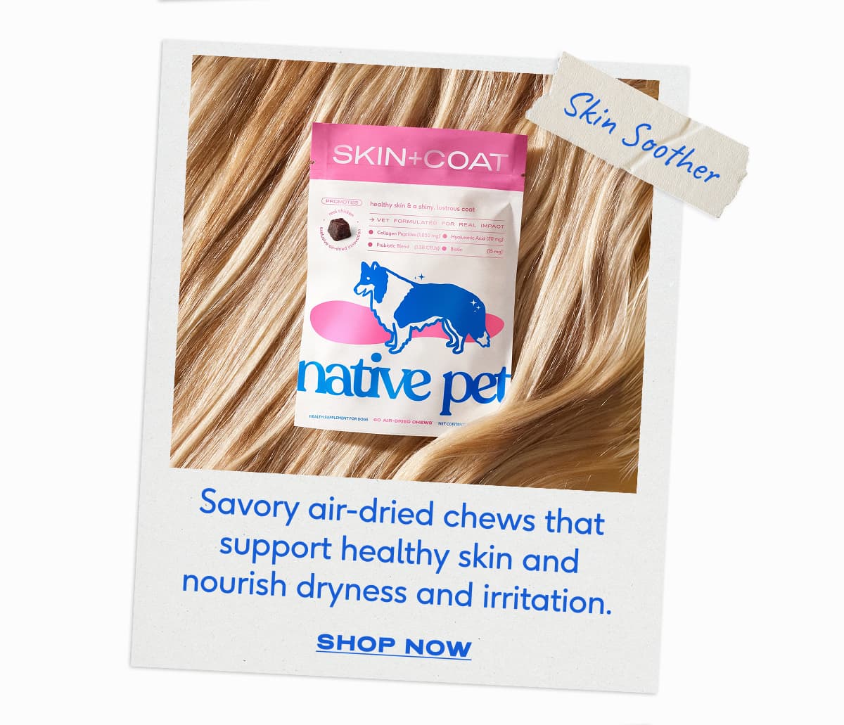 Skin Soother Savory air-dried chews that support healthy skin and nourish dryness and irritation. SHOP NOW