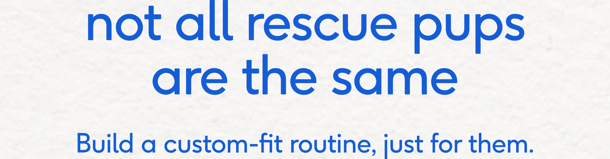 not all rescue pups are the same Build a custom-fit routine, just for them.