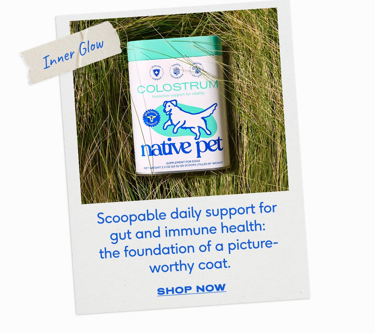 Inner Glow Scoopable daily support for gut and immune health: the foundation of a picture-worthy coat. SHOP NOW