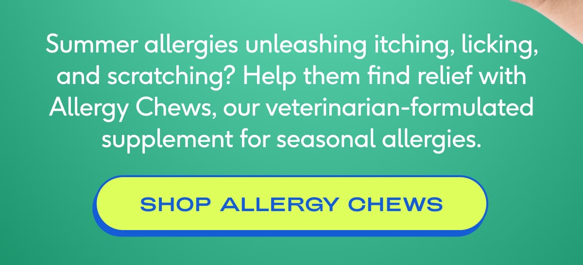 Summer allergies unleashing itching, licking, and scratching? Help them find relief with Allergy Chews, our veterinarian-formulated supplement for seasonal allergies. shop allergy chews