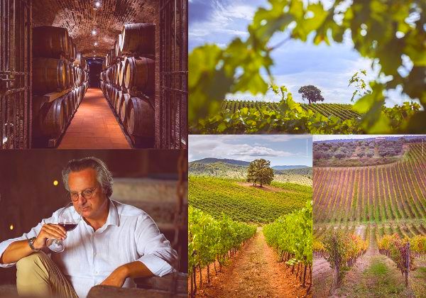 The wine cellar, 3 photos of the vineyard of Villa Al Cortile, the producer of Brunello Di Montalcino DOCG 2015. Also a photo of a man tasting the wine. 