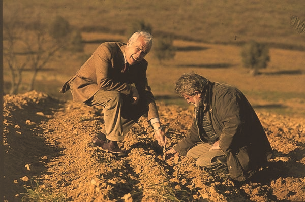 Photo of Erik Banti, producer of Spineto Maremma Toscana DOC 2018 in the vineyard.  