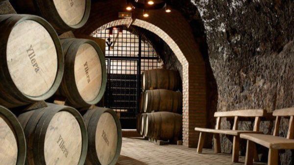 Cellar of Bodega Yllera, producer of Pepe Yllera Ribera Del Duero 2018.