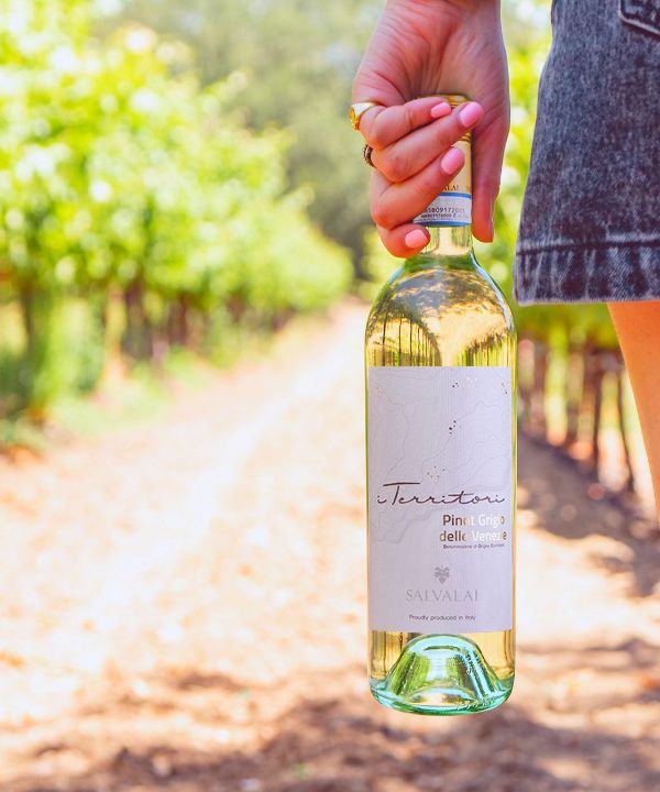 Bottle of Pinot Grigio Delle Venezie DOC 2020 by Cantine Salvalai carried by a woman walking through the vineyard.