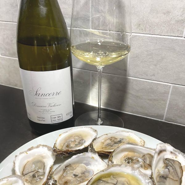 Bottle and glass of Sancerre Blanc 2020 by Domaine Vacheron next to a plate of oysters.