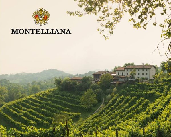 Mountainside vineyard of the producer of Prosecco Doc Treviso Extra Dry, Cantina Montelliana.