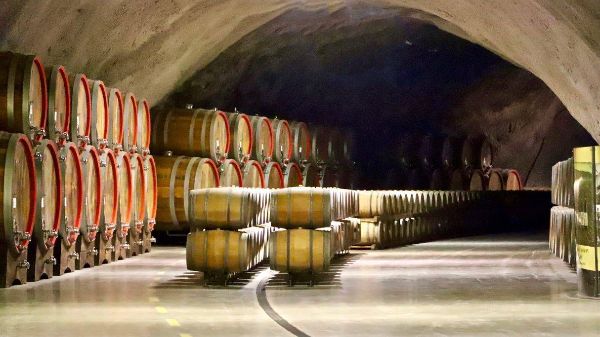 Rows of oak barrels in the cellar of Plantaze, producer of Vranac Pro Corde 2016.