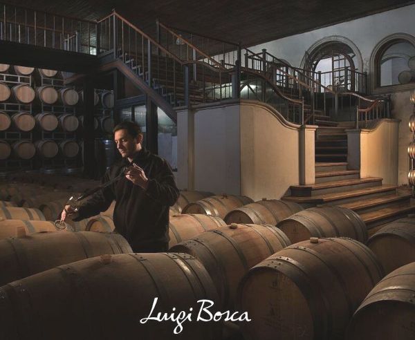 Winemaker testing wine  among oak barrels in the cellar of Bodega Luigi Bosca, producer Testimonio Old Vines Malbec 2019.