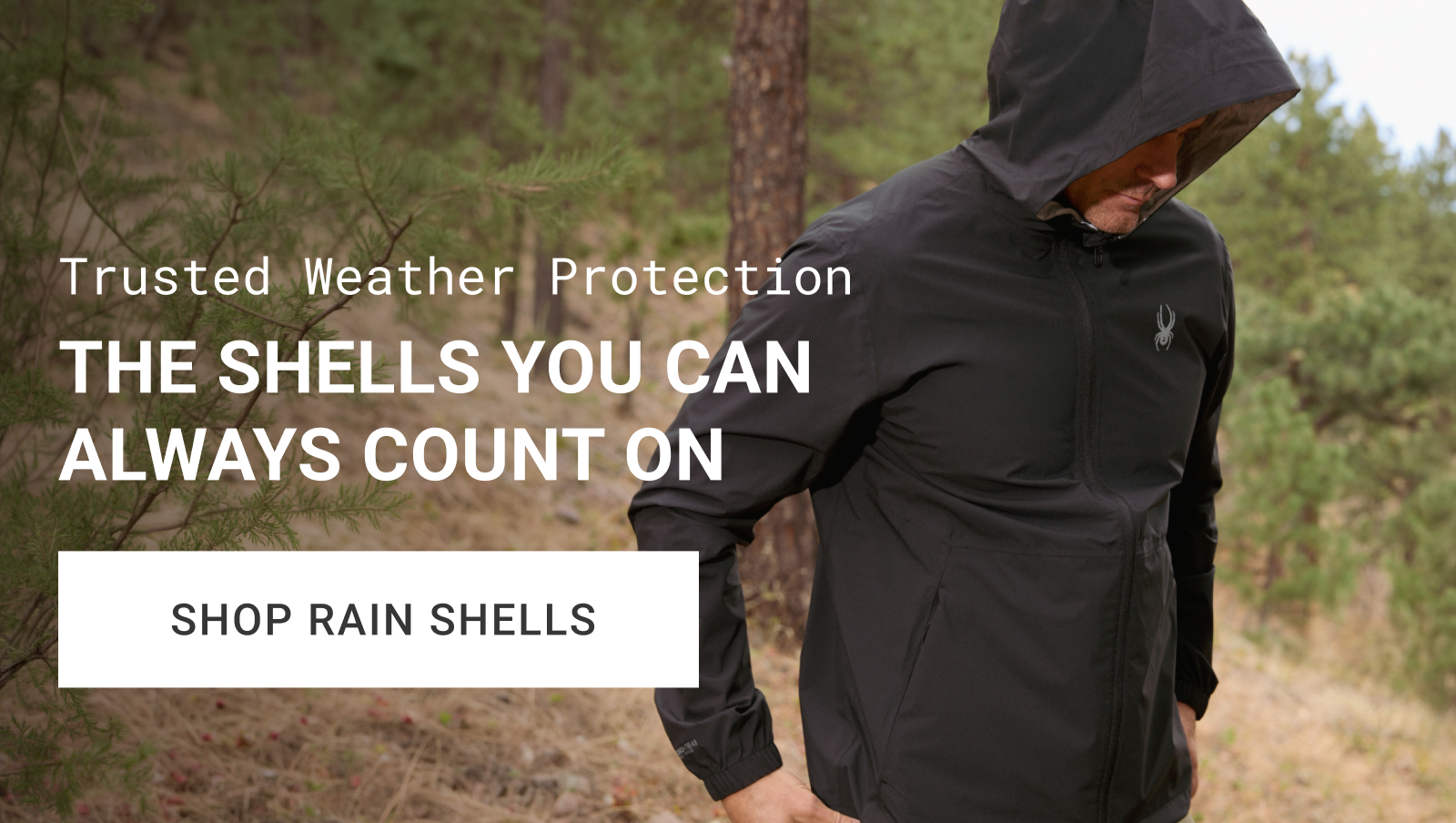 THE SHELLS YOU CAN ALWAYS COUNT ON