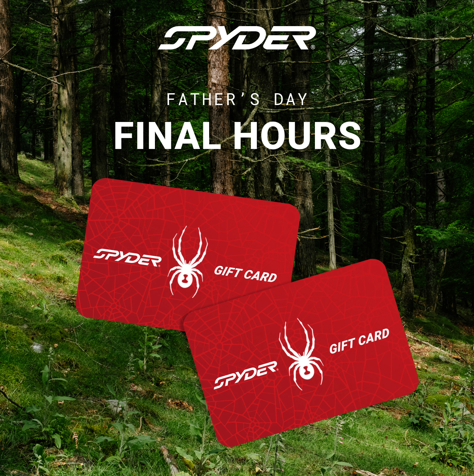 FINAL HOURS