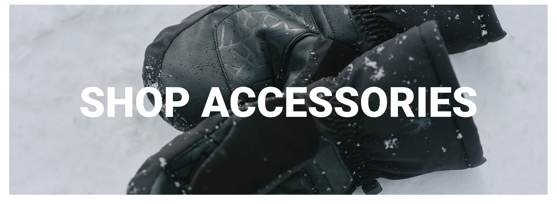 SHOP ACCESSORIES