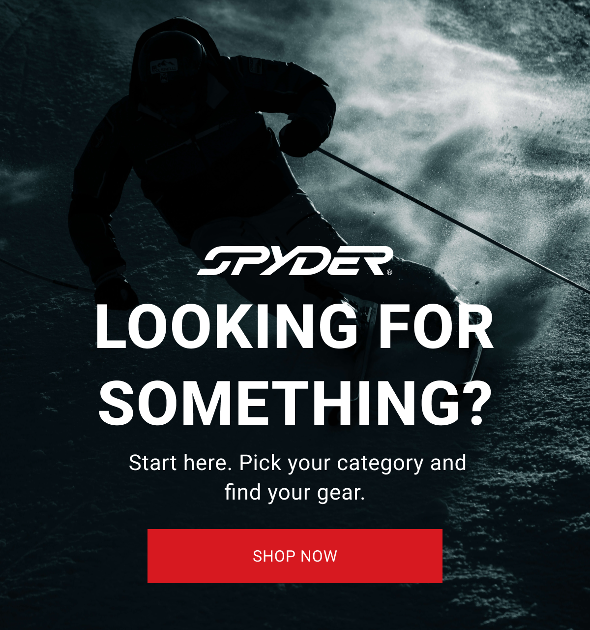 Looking For Something?