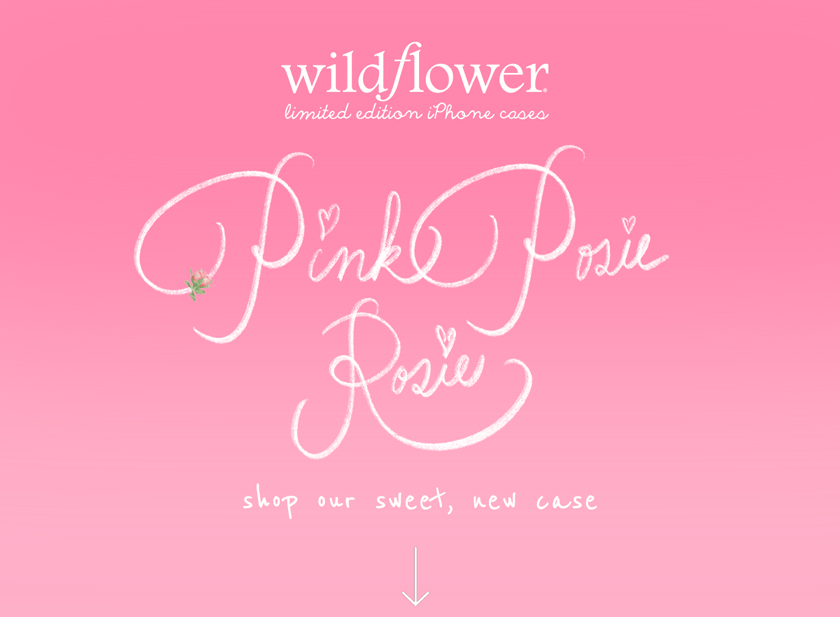 RESTOCK ALERT 😍🎀 🏹💞 Wildflower Cases