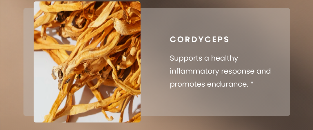 Cordyceps - Supports a healthy inflammatory response and promotes endurance.*