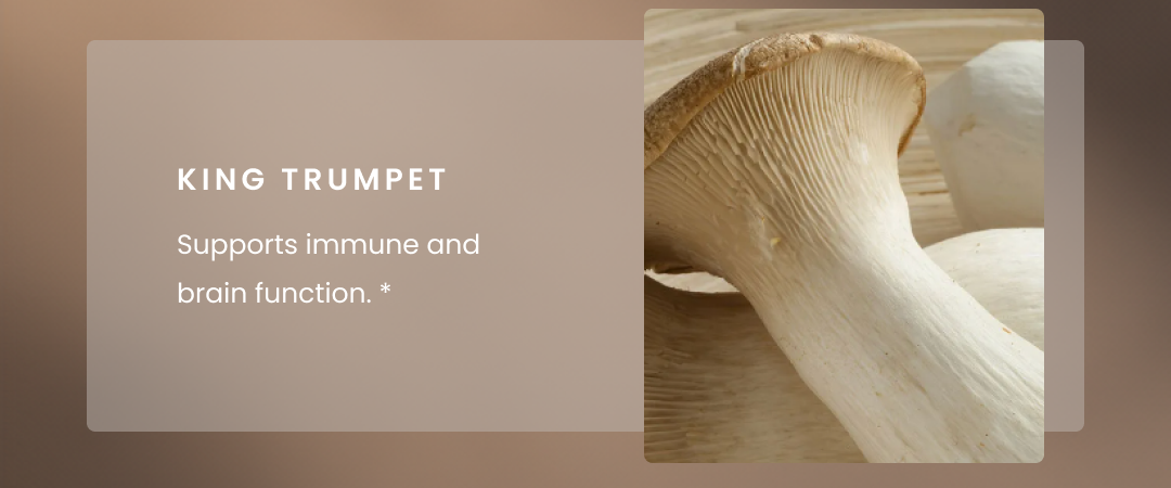 King Trumpet - Supports immune and brain function.*