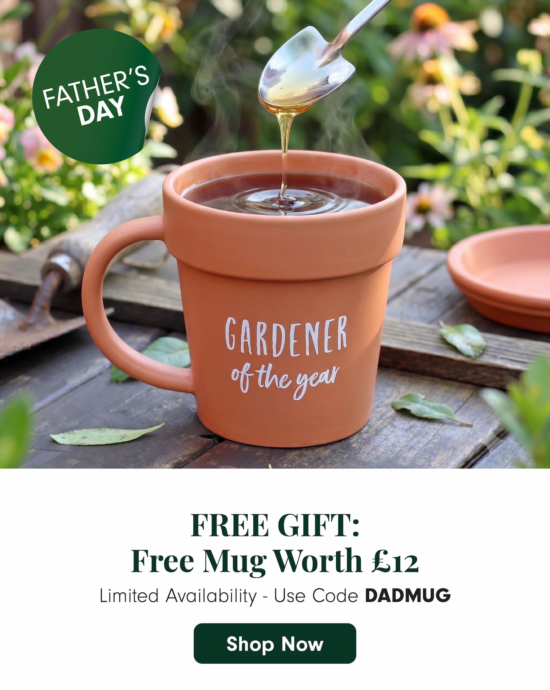 Free Mug