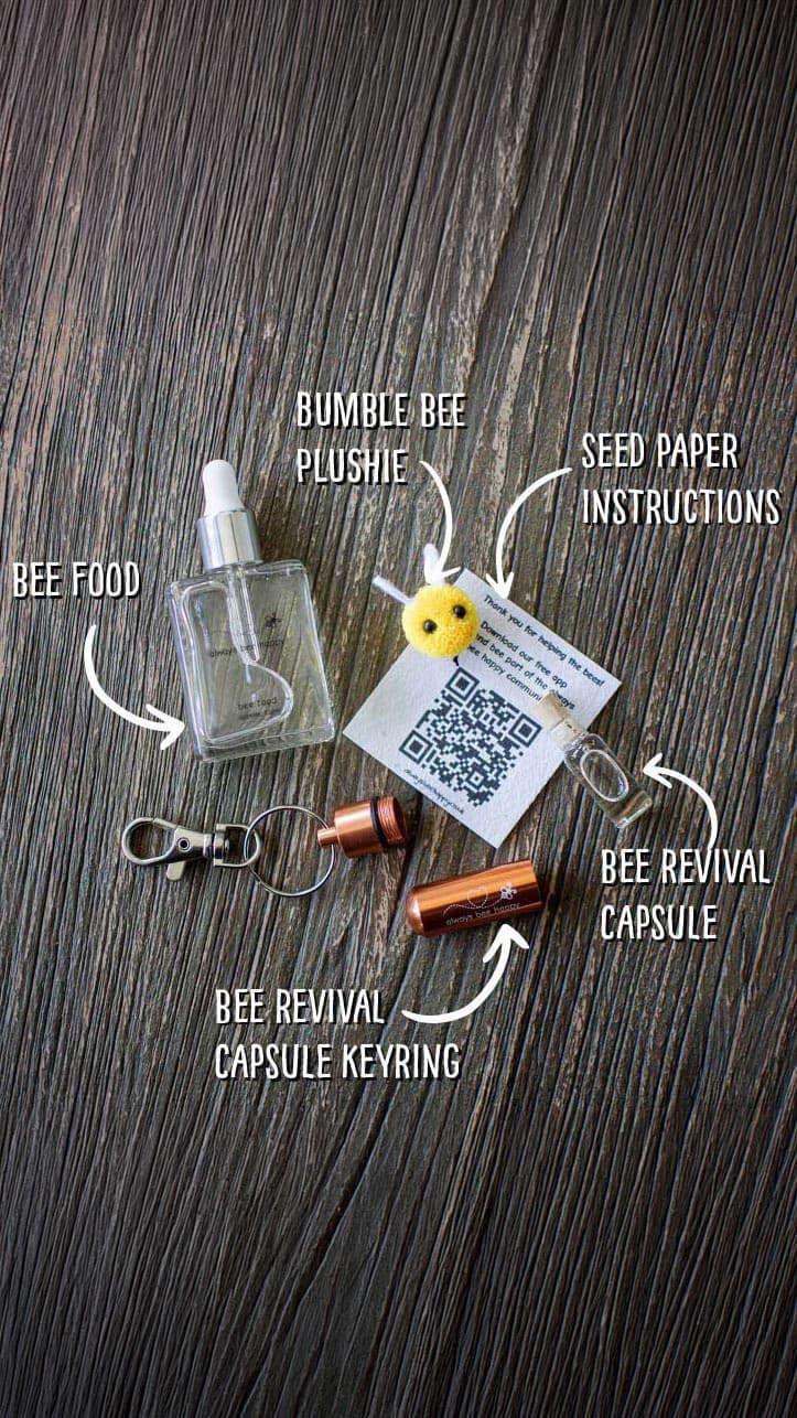 Bee Revival Kit