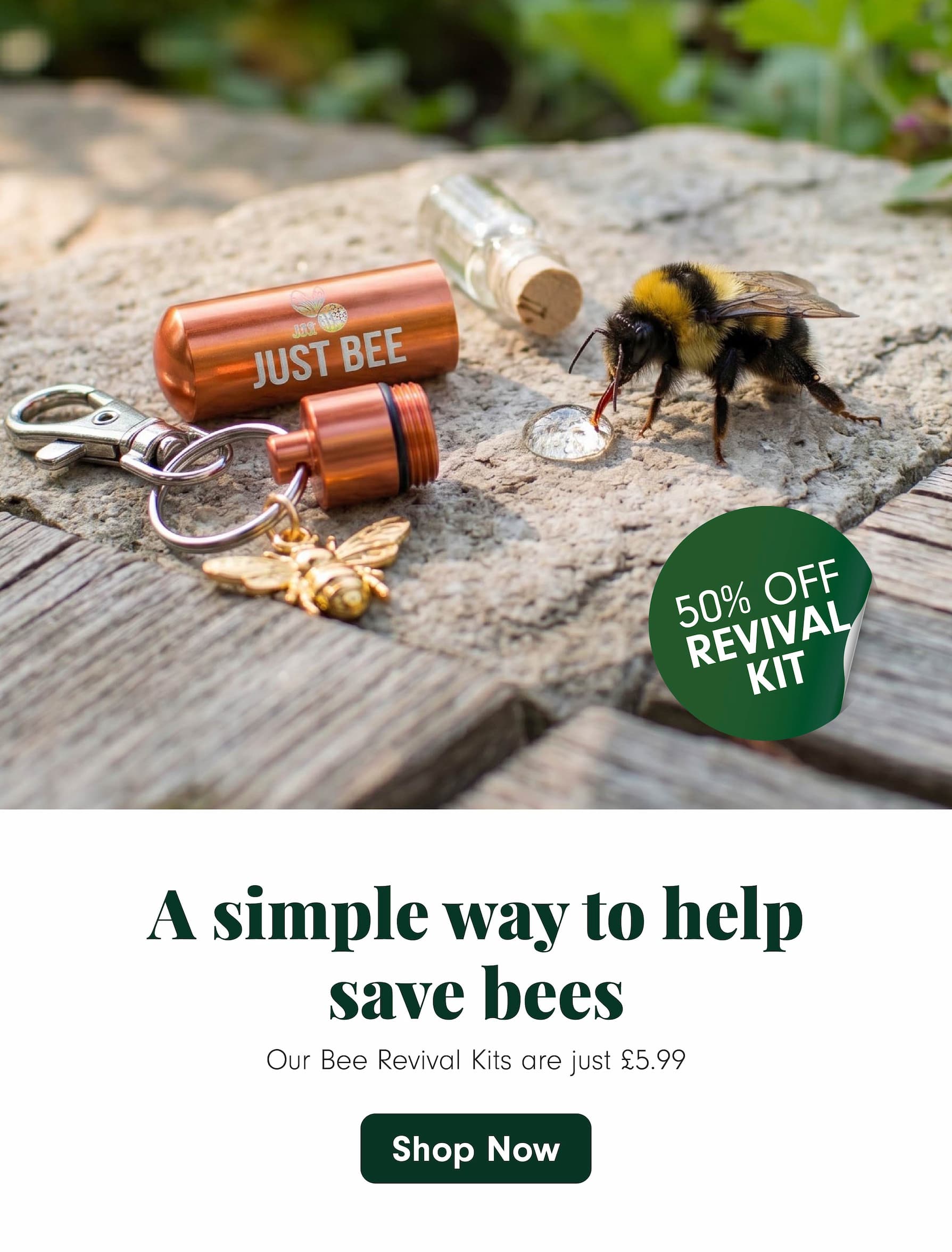 Bee Revival Kit