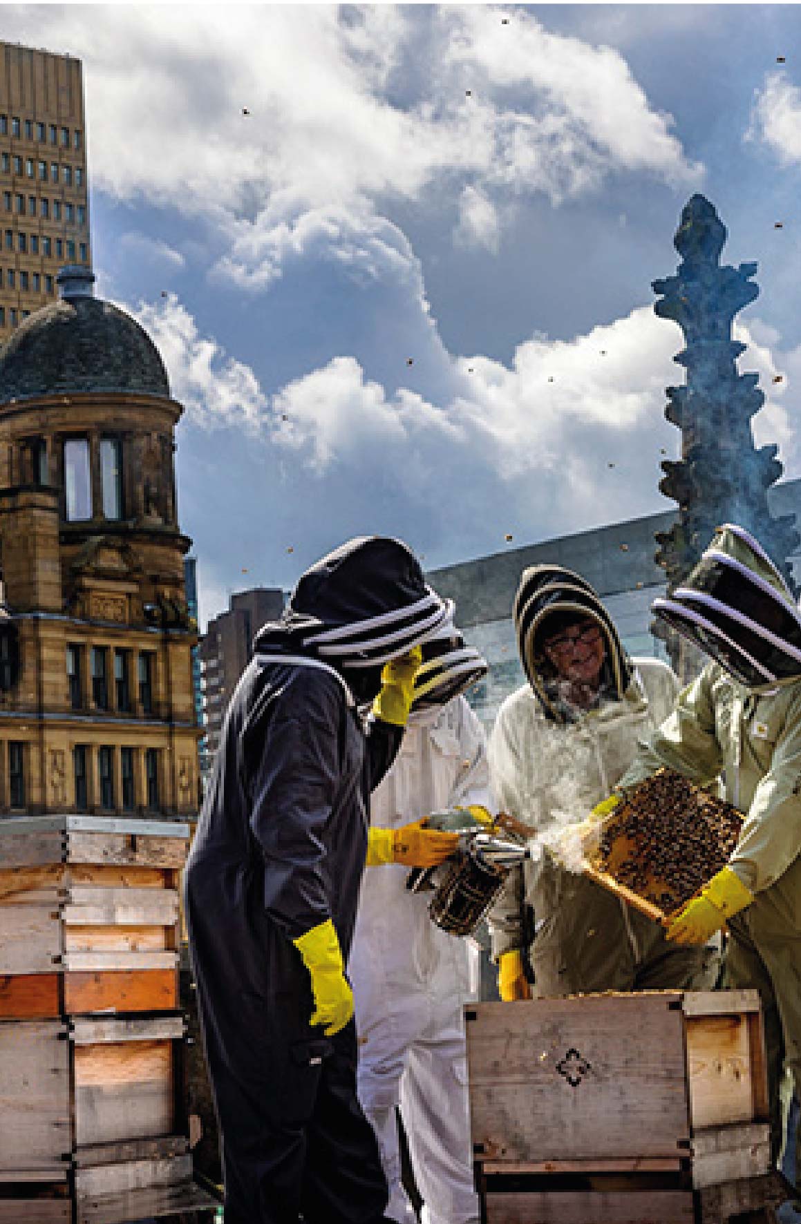 Urban Bee Keeping