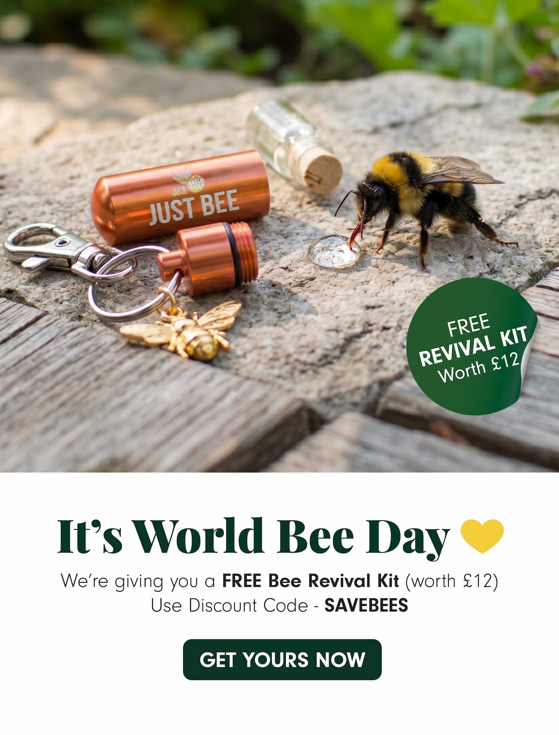 Bee Revival Kit