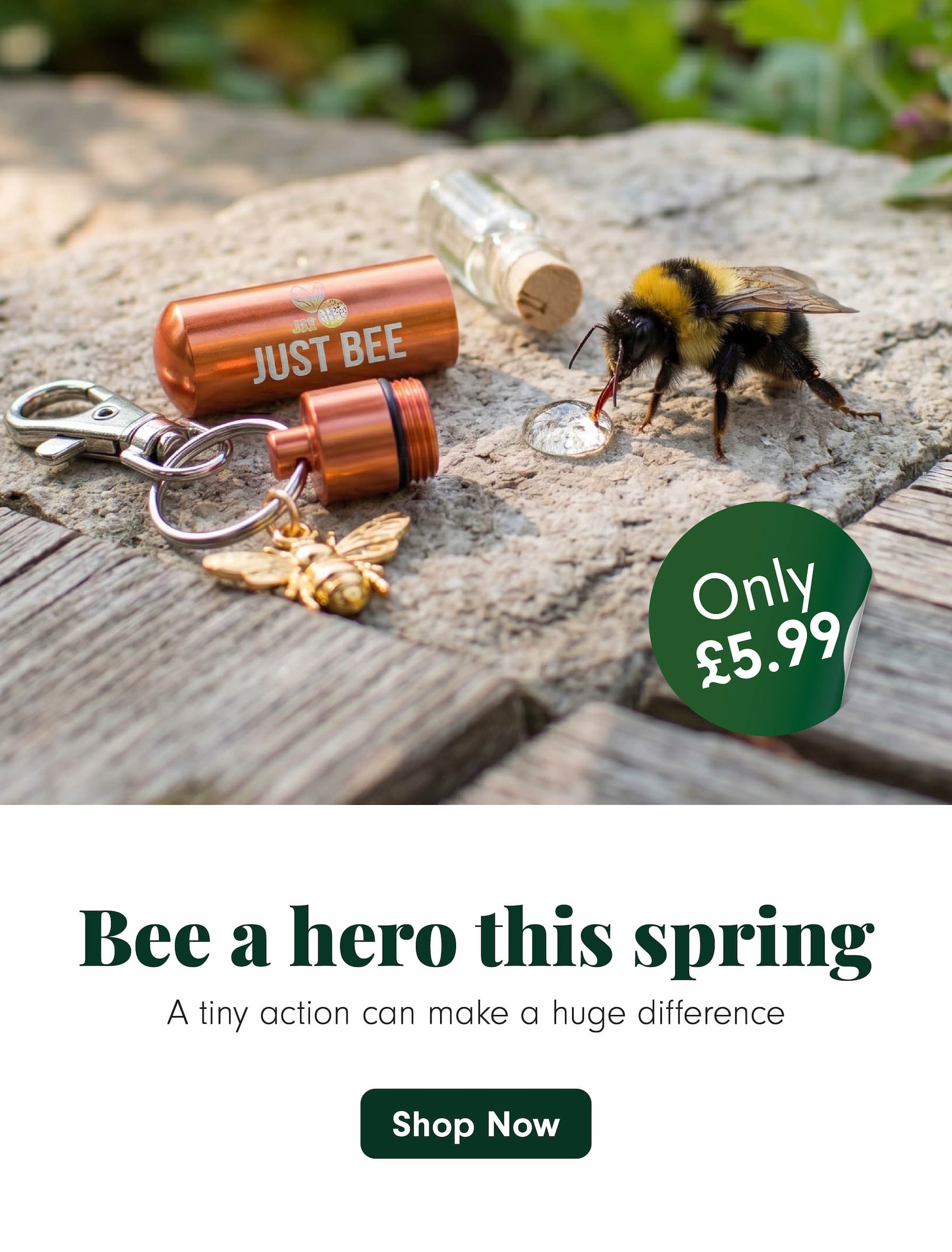 Bee Revival Kit