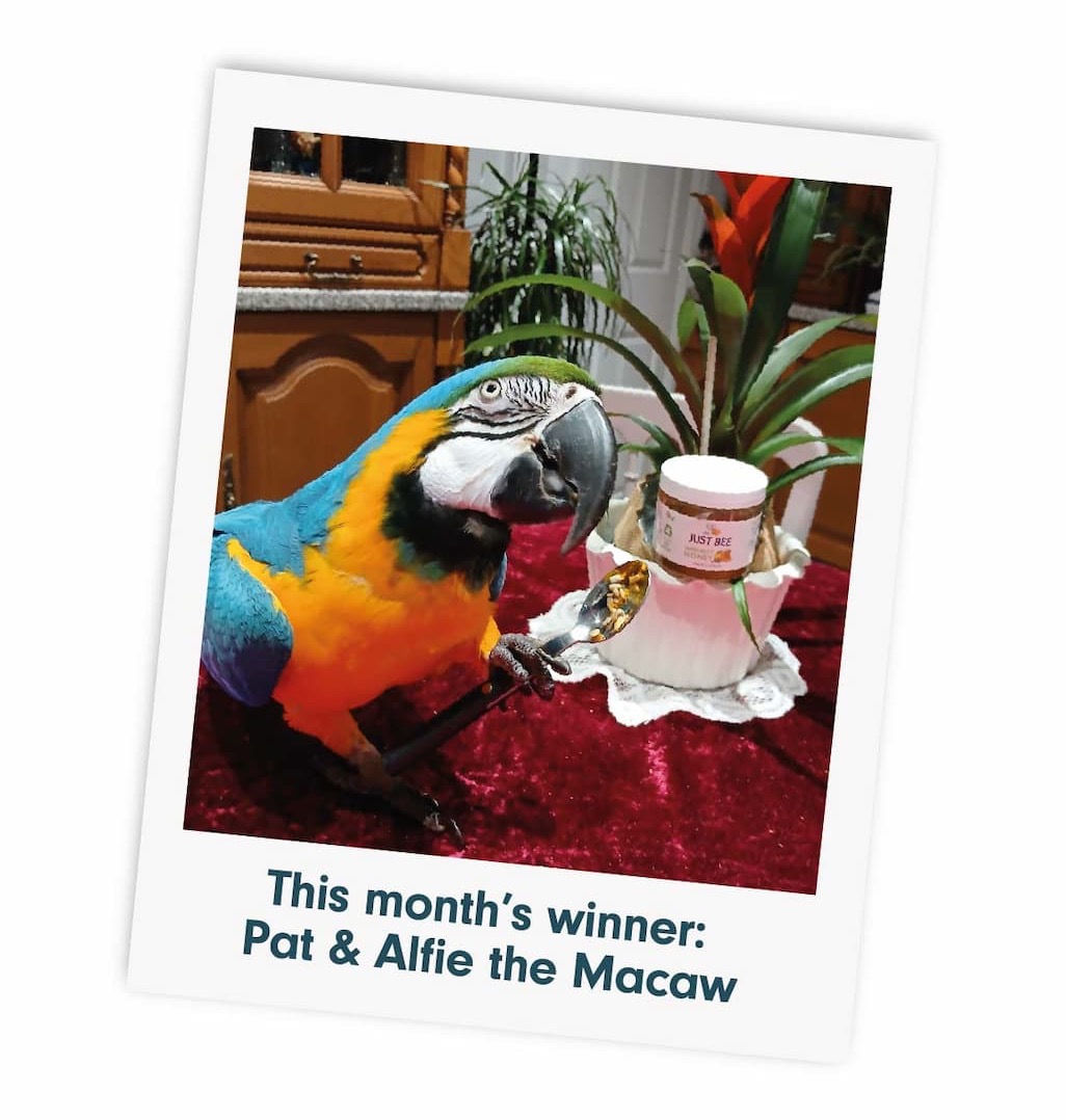 Photo Of The Month Winner