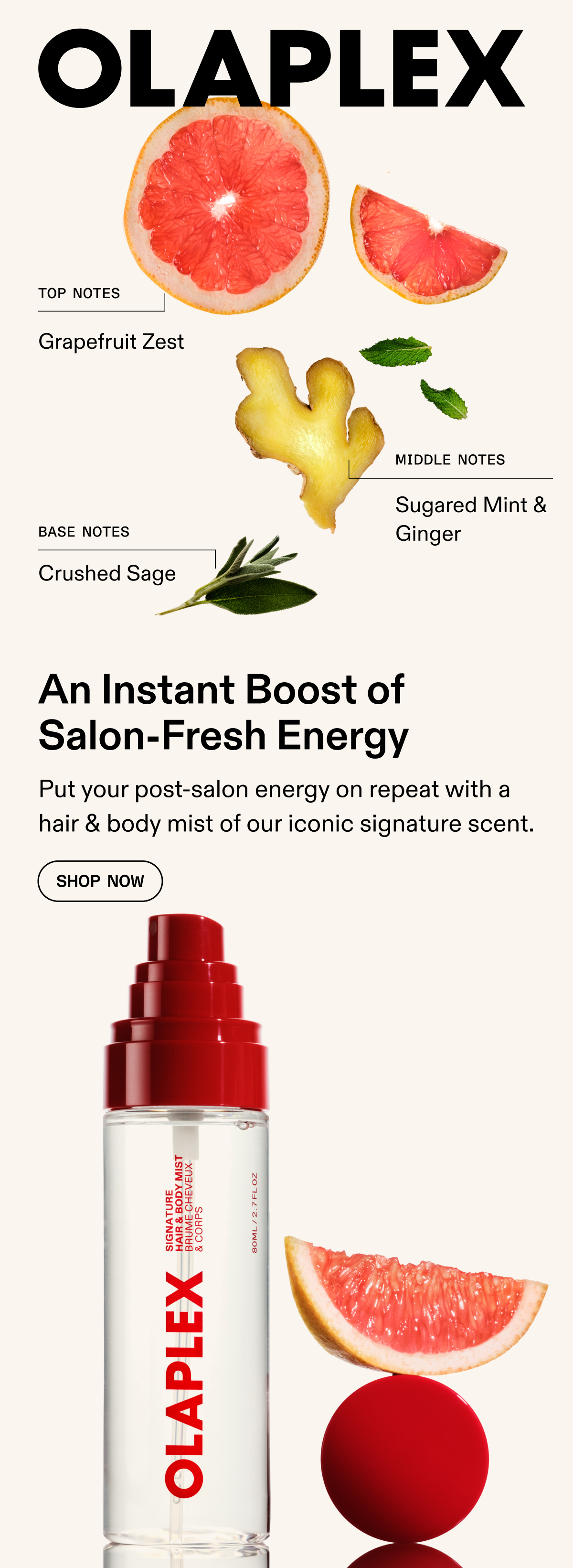 An Instant Boost of Salon-Fresh Energy | Shop Now