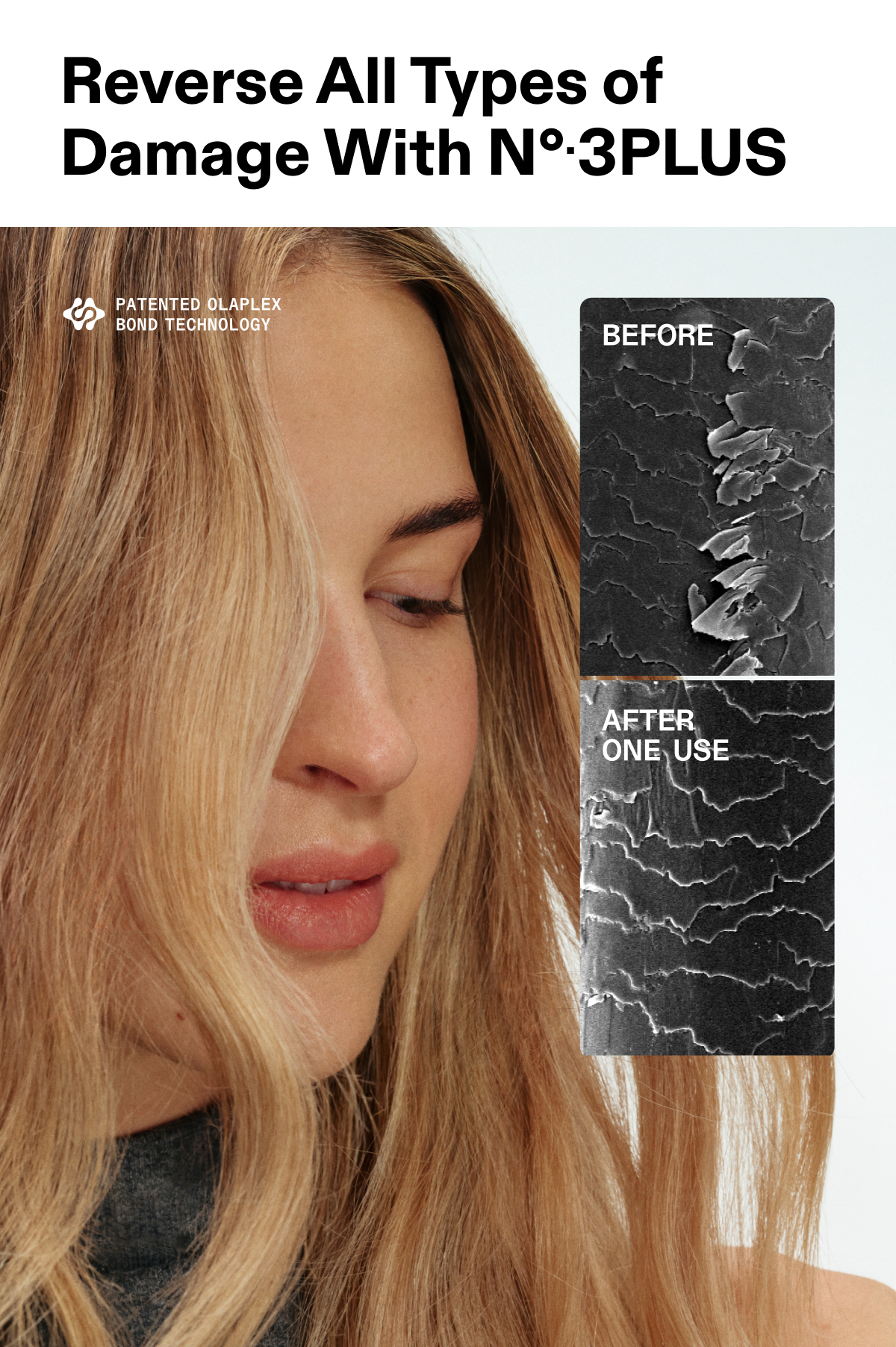 Reverse All Types of Damage With No.3PLUS