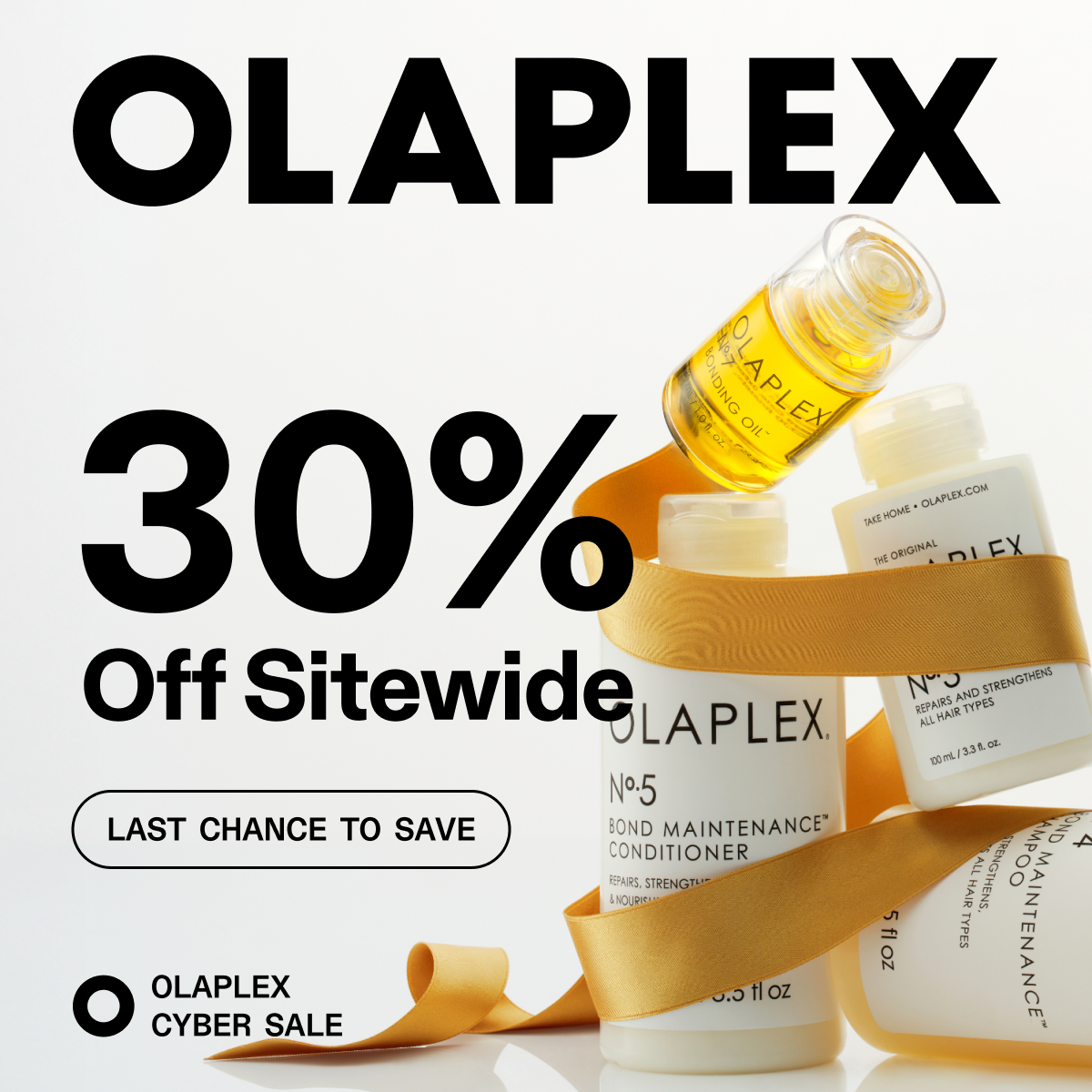 30% Off Sitewide | Last Chance to Save 