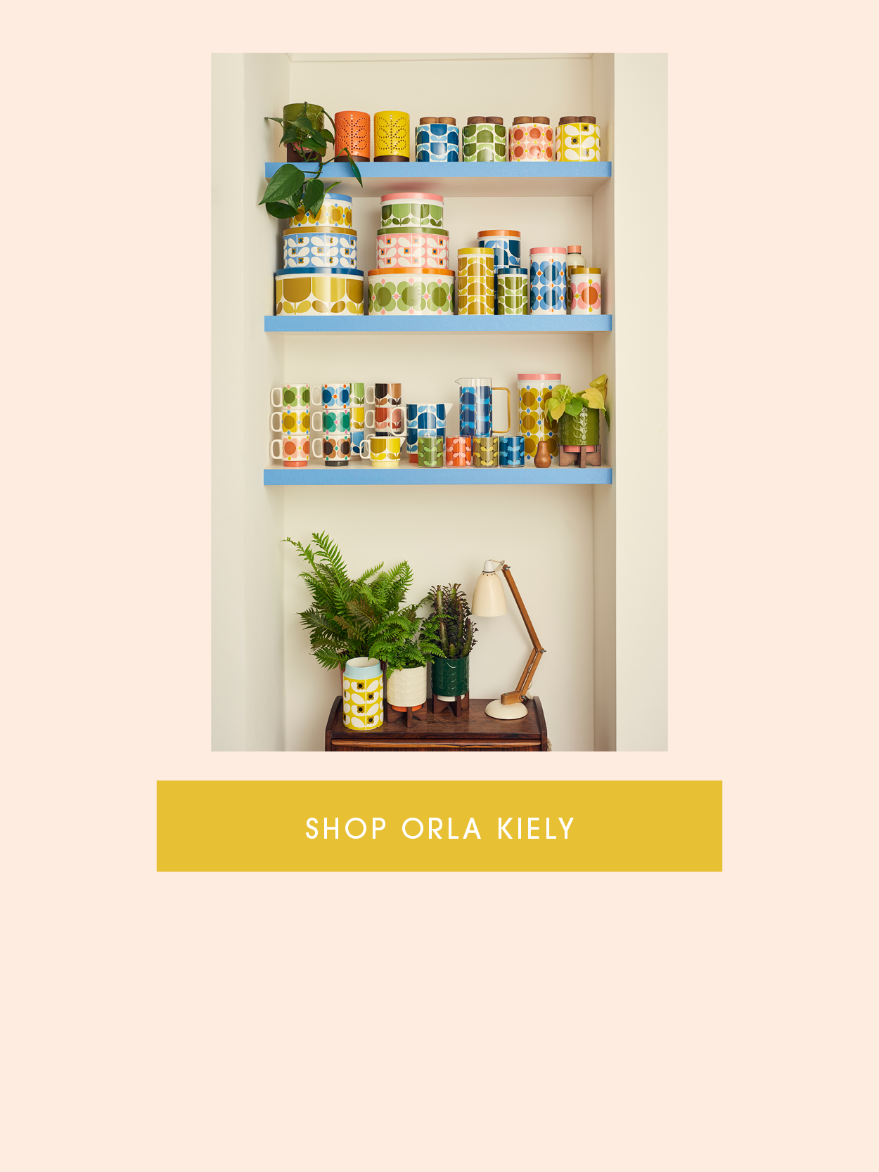 NEW IN Orla Kiely Carraig Donn