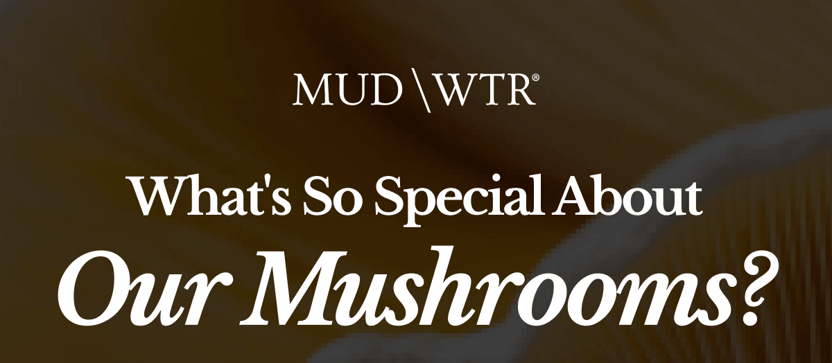 What's So Special About Our Mushrooms? 