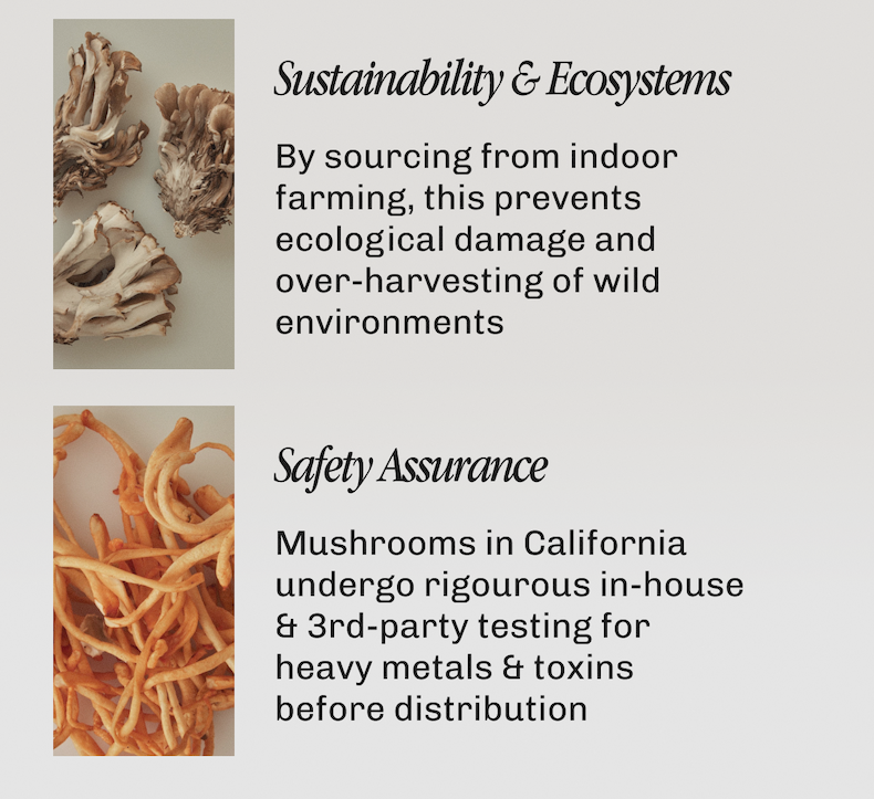 • Sustainability & Ecosystems – By sourcing from indoor farming, this prevents ecological damage and over-harvesting of wild environments | • Safety Assurance – Mushrooms in California undergo rigourous in-house & 3rd-party testing for heavy metals & toxins before distribution