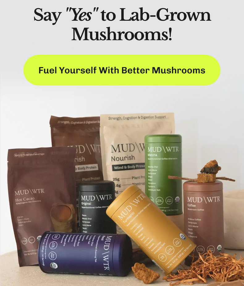 Say "Yes" to Lab-Grown Mushrooms! – Fuel Yourself With Better Mushrooms